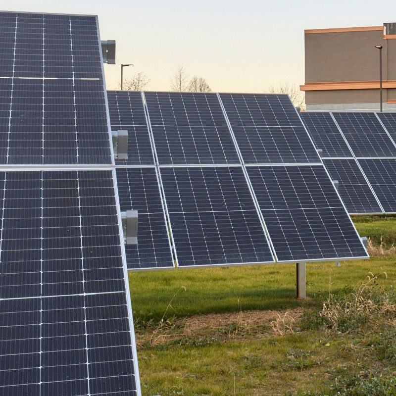Website Industry Insights Design the Future Product Pics Arize 1200×1200 Eco-friendly design example withsolar panels outside bank branch PWCampbell